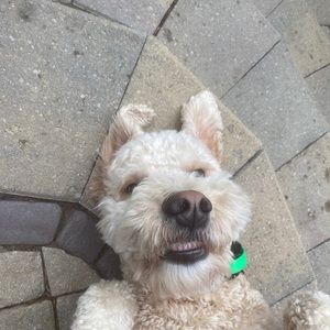 Meet your Posher, Theresa